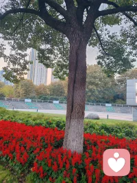 《當我內心足夠強大》 薩提亞
當我內心足夠強大
你指責我，我感覺到你的受傷
你討好我，我看到你需要認可
你超理智，我體會你的脆弱和害怕
你打岔，我懂得你如此渴望被看到

當我內心足夠強大
我不再防衛
所有能量在我們之間自由流動
委屈，沮喪，內疚，悲傷，憤怒，痛苦
當他們自由流淌
我在悲傷里感到溫暖
在憤怒里發現力量
在痛苦里看到希望

當我內心足夠強大
我不再攻擊
我知道
當我不再傷害自己
便沒有人可以傷害我
我放下武器，敞開心
當我的心，柔軟起來
便在愛和慈悲里
與你明亮而溫暖地相遇

原來，讓內心強大
我只需要，看到自己
接納我還不能做的
欣賞我已經做到的
并且相信，走過這個歷程
終究可以活出自己，綻放自己配圖