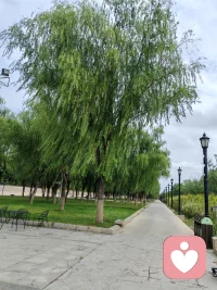 《我就是我自己》薩提亞

我是我自己，我就是我。
這個(gè)世界上，沒有一個(gè)人完全像我。

有一些人某些部分像我，
但沒有一個(gè)人完全和我一模一樣。

所以，一切出自于我的都真真實(shí)實(shí)屬于我，因?yàn)槟鞘俏覀€(gè)人的選擇。

我擁有我的一切：
我的身體，以及一切它的舉動(dòng)；
我的思想，以及所有的想法和意念；
我的眼睛，以及一切看到的影像；
我的感受，不論是什么，憤怒、喜樂、挫折、愛、失望、興奮；
我的嘴巴，和一切從口中所出的話語，溫文有禮的，甜蜜的或粗魯?shù)模瑢?duì)的或不對(duì)的；
我的聲音，喧嚷的或輕柔的；
還有我所有的行動(dòng)，不論是對(duì)別人或?qū)ψ约旱摹?
我擁有我的幻想、我的夢(mèng)想、我的希望和我的恐懼。
我擁有我所有的勝利與成功、所有的失敗與錯(cuò)誤。
因?yàn)槲覔碛腥康奈遥铱梢院妥约撼蔀橛H密熟悉的朋友。

由于我能如此，所以我能愛自己，并且能夠友善地和我的每一部分友善相處。
那么，我就可以使我整個(gè)人的運(yùn)作狀態(tài)，帶給自己最大的幸福。

我知道自己有些地方讓我困惑，也有別的部分是我也不明白的。
不過，只要我友善地愛我自己，我就能勇敢地、滿懷希望地尋求途徑來解決這些困惑，并且尋求方法以期更了解自己。

然而，不論我在在任何時(shí)刻，看起來、聽起來如何，不論我說什么、做什么，或想什么、感受什么，這都是我。

這是真實(shí)的，而且代表了那個(gè)時(shí)刻我的狀況。
稍后當(dāng)我回想當(dāng)時(shí)我是如何看起來、聽起來的樣子，自己所說的話和做過的事，還有自己的想法和感受，有些可能已不再合適了。

我能夠摒棄那些不再合適的，而保留那些經(jīng)過證明后合適的，并且再創(chuàng)造一些新的來取代被我摒棄的那些。
我可以看、聽、感受、思考、說話和做事。

我擁有工具足以生活下去、與別人親近和富有生產(chǎn)力，并且能夠使我周圍的人事物呈現(xiàn)出意義和秩序。
我擁有我自己，所以我能掌管我自己。
我就是我自己，而且我很好。配圖