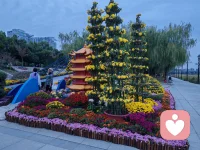 你相信什么就会创造什么配图