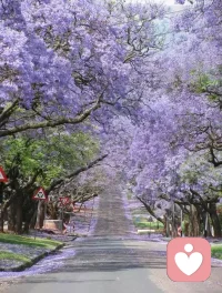 总有一天，追忆往事，你会发现挣扎奋斗的日子是最美的。配图