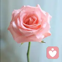 期待本质是“未说出口的控制”。你期待他人按你的剧本走,可每个人都是独立的个体。当期待落空,伤害的是你对关系的信任,也让对方在“不被理解”里疲惫。少点期待,多些接纳,反而能看见真实的彼此。