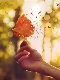 心靈是我們的避風港。當外界風雨交加，疲憊和傷痛襲來，回到心靈深處。這里寧靜祥和，有著我們對美好的向往、對愛的珍藏。讓心沉淀，重新獲得力量，再次起航。配圖