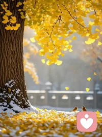 人和人之間最好的關(guān)系，是相互滋養(yǎng)，相互成就；人與人之間最好的結(jié)局是，雙向奔赴，頂峰相見。遠(yuǎn)離消耗你的人，多去靠近滋養(yǎng)你的人，做一個有能量、有愛的人。配圖