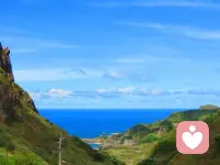 當感情到來時，人們會覺得它永遠都不會消失；而當感情消失時，人們會覺得它從來都不曾到來過；一旦當感情回來時，人們會覺得它仿佛從未離開過。配圖