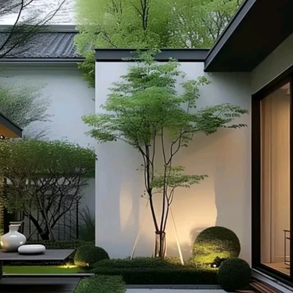 云舒