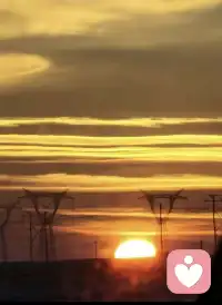 春分的到来代表着春天的真正开始。大自然中的每一寸土地都仿佛沐浴在希望的气息中，尽情地展现出自己的美丽。万物复苏，花开满园，春天的美好在阳光的照耀下得以完美呈现。