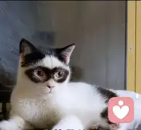 越是无人在意，越要好好照顾自己：规律作息，坚持运动，保持健康的体魄；静下心读书学习，提升自己的能力；做好手边的小事，重建生活的秩序。不必急于求成，不必渴望立刻翻身，那些默默沉淀的时光，那些无人问津的努力，都是在为未来积蓄力量。配图