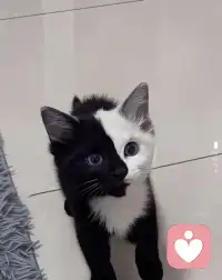 越是无人在意，越要好好照顾自己：规律作息，坚持运动，保持健康的体魄；静下心读书学习，提升自己的能力；做好手边的小事，重建生活的秩序。不必急于求成，不必渴望立刻翻身，那些默默沉淀的时光，那些无人问津的努力，都是在为未来积蓄力量。配图