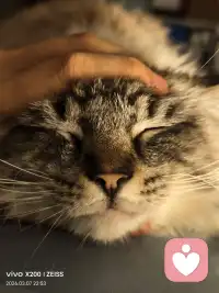 你可以温和，但必须有锋芒；你可以善良，但必须带点棱角。这份与生俱来的力量，不是为了刺伤谁，只是为了告诉你：你值得被尊重，值得被善待，值得牢牢守住属于自己的一切。

愿你敢怒、敢言、敢坚守，愿你的攻击性，永远只为守护自己而生，不伤人，不伤己，只护你一生安稳，不被辜负。配图