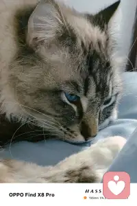 你可以温和，但必须有锋芒；你可以善良，但必须带点棱角。这份与生俱来的力量，不是为了刺伤谁，只是为了告诉你：你值得被尊重，值得被善待，值得牢牢守住属于自己的一切。

愿你敢怒、敢言、敢坚守，愿你的攻击性，永远只为守护自己而生，不伤人，不伤己，只护你一生安稳，不被辜负。配图