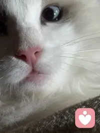 从今天起，放下那些沉甸甸的“我应该”，拾起充满力量的“我可以”。以接纳为翼，以热爱为光，在属于自己的节奏里，从容、自在、热烈地生活，这便是人生最好的状态。配图