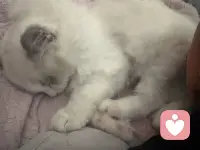 从今天起，放下那些沉甸甸的“我应该”，拾起充满力量的“我可以”。以接纳为翼，以热爱为光，在属于自己的节奏里，从容、自在、热烈地生活，这便是人生最好的状态。配图