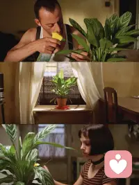 放下期待，我们收获的是整个关系的旷野。在这片旷野上，不再有你应该的标记，只有真实的脚步踏出的道路。我们可以并肩走，也可以各走各路，却始终知道，回头时，对方在那里。或许这才是爱的真谛——不是把对方变成我们想要的样子，而是帮助彼此成为更好的自己。就像诗人纪伯伦所言：“爱的空间里，没有占有，只有存在。”配图