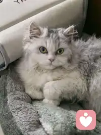 放下期待，我们收获的是整个关系的旷野。在这片旷野上，不再有你应该的标记，只有真实的脚步踏出的道路。我们可以并肩走，也可以各走各路，却始终知道，回头时，对方在那里。或许这才是爱的真谛——不是把对方变成我们想要的样子，而是帮助彼此成为更好的自己。就像诗人纪伯伦所言：“爱的空间里，没有占有，只有存在。”配图