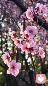 我们就像一台能量仪器，时刻像周围发射能量。


而在过去，我经常发射🚀抱怨 指责，愤怒，用种子法则说，就是在种抱怨指责愤怒的种子，结果也收获更多抱怨愤怒指责。


曾经以为我委屈受伤,在我没有看到的空间，我也在伤害别人让别人受伤。


从把责任推向外界，到担起责任主动承担。

从不想承认自己不好，不强，到坦荡承认自己弱。

从不接纳这个奇怪的自己，到开始看到这个自己。

从什么也不想做，不想努力，到持续的跟队跟对✅。


体验的过程是真实的，而好的滋味也是真实的。配图