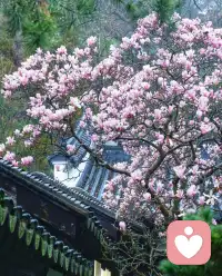 我们就像一台能量仪器，时刻像周围发射能量。


而在过去，我经常发射🚀抱怨 指责，愤怒，用种子法则说，就是在种抱怨指责愤怒的种子，结果也收获更多抱怨愤怒指责。


曾经以为我委屈受伤,在我没有看到的空间，我也在伤害别人让别人受伤。


从把责任推向外界，到担起责任主动承担。

从不想承认自己不好，不强，到坦荡承认自己弱。

从不接纳这个奇怪的自己，到开始看到这个自己。

从什么也不想做，不想努力，到持续的跟队跟对✅。


体验的过程是真实的，而好的滋味也是真实的。配图