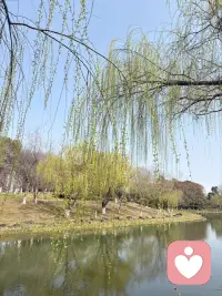 我们就像一台能量仪器，时刻像周围发射能量。


而在过去，我经常发射🚀抱怨 指责，愤怒，用种子法则说，就是在种抱怨指责愤怒的种子，结果也收获更多抱怨愤怒指责。


曾经以为我委屈受伤,在我没有看到的空间，我也在伤害别人让别人受伤。


从把责任推向外界，到担起责任主动承担。

从不想承认自己不好，不强，到坦荡承认自己弱。

从不接纳这个奇怪的自己，到开始看到这个自己。

从什么也不想做，不想努力，到持续的跟队跟对✅。


体验的过程是真实的，而好的滋味也是真实的。配图