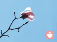 我们就像一台能量仪器，时刻像周围发射能量。


而在过去，我经常发射🚀抱怨 指责，愤怒，用种子法则说，就是在种抱怨指责愤怒的种子，结果也收获更多抱怨愤怒指责。


曾经以为我委屈受伤,在我没有看到的空间，我也在伤害别人让别人受伤。


从把责任推向外界，到担起责任主动承担。

从不想承认自己不好，不强，到坦荡承认自己弱。

从不接纳这个奇怪的自己，到开始看到这个自己。

从什么也不想做，不想努力，到持续的跟队跟对✅。


体验的过程是真实的，而好的滋味也是真实的。配图