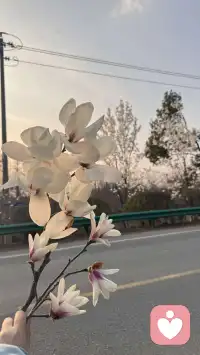 小时候，我渴望当一个作家，写写文章，好不自在，自由职业，无拘无束。


长大后成了一个上班族👩‍💼，每天朝九晚五，按部就班。


他觉得我话多，不切实际，不着调。需要清净。


孩子觉得我啰嗦，烦。


渐渐的我不爱对他们说了。


可是我每天需要固定输出的语言需要释放到哪里去啊，于是我开直播，录视频，开会，享受输出的🎊。


在持续的行动中，我找到了适合我的学习方式，成长方式。


以前，我看书基本是看个十几页我就要睡觉的，可是读书，做读书会，我很带劲，不会困。


我发现了，只要有人看，有人关注我就很来劲哈哈。


我会早上带领伙伴做功课，读经典，做读书会，催眠带领，读着读着就发现内心平静了，我自我催眠了，喜悦了，通畅了。


读书和唱歌一样都讲究气的流通。


在每一次引导，带领下，我爱上了这个让我内心喜悦的功课。


就像有人爱运动，有人爱跳舞，有人爱爬山，而我发现我爱在有人关注下说话。



我发现一个有意思的点，当我开直播的时候，没有人在线的时候我就平常心，有人在线的时候，特别人多一点的时候，我可带劲了，那眼神语气节奏，恨不得毕生武艺都拿出来秀秀。


多么爱享受聚光灯的人儿啊。


持续的践行，是因为喜欢😘。


坚持会有尽头，但是持续是因为热爱。



再说说完美，以前我认为我没有完美😍，神经大条，直到我发现，我要求挺多的。


他给我端水，我会说给我37度的水，最好弄个柠檬片，哈哈开个玩笑。


曾经，在周围关系中，我会追求所有人的认可，会把别人的评价批在自己身上，否定自己，内耗自己，觉得自己做的不好。


我渴望🤩周围人的点头叫好，我也比较在意别人的眼光，会把对方的愤怒，归因在自己没做好。


能量起来以后，我发现我好像比较不太在意别人的评价了。


以前是假装不在意其实内在很受伤，但是现在是真不太在意。


以前当同事说我业务不专业的时候，我会各种解释，证明不是自己不专业，想证明自己专业。


现在同事说我不专业的时候，我大方的承认，我这个点不太熟悉配图