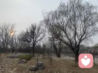 小时候，我渴望当一个作家，写写文章，好不自在，自由职业，无拘无束。


长大后成了一个上班族👩‍💼，每天朝九晚五，按部就班。


他觉得我话多，不切实际，不着调。需要清净。


孩子觉得我啰嗦，烦。


渐渐的我不爱对他们说了。


可是我每天需要固定输出的语言需要释放到哪里去啊，于是我开直播，录视频，开会，享受输出的🎊。


在持续的行动中，我找到了适合我的学习方式，成长方式。


以前，我看书基本是看个十几页我就要睡觉的，可是读书，做读书会，我很带劲，不会困。


我发现了，只要有人看，有人关注我就很来劲哈哈。


我会早上带领伙伴做功课，读经典，做读书会，催眠带领，读着读着就发现内心平静了，我自我催眠了，喜悦了，通畅了。


读书和唱歌一样都讲究气的流通。


在每一次引导，带领下，我爱上了这个让我内心喜悦的功课。


就像有人爱运动，有人爱跳舞，有人爱爬山，而我发现我爱在有人关注下说话。



我发现一个有意思的点，当我开直播的时候，没有人在线的时候我就平常心，有人在线的时候，特别人多一点的时候，我可带劲了，那眼神语气节奏，恨不得毕生武艺都拿出来秀秀。


多么爱享受聚光灯的人儿啊。


持续的践行，是因为喜欢😘。


坚持会有尽头，但是持续是因为热爱。



再说说完美，以前我认为我没有完美😍，神经大条，直到我发现，我要求挺多的。


他给我端水，我会说给我37度的水，最好弄个柠檬片，哈哈开个玩笑。


曾经，在周围关系中，我会追求所有人的认可，会把别人的评价批在自己身上，否定自己，内耗自己，觉得自己做的不好。


我渴望🤩周围人的点头叫好，我也比较在意别人的眼光，会把对方的愤怒，归因在自己没做好。


能量起来以后，我发现我好像比较不太在意别人的评价了。


以前是假装不在意其实内在很受伤，但是现在是真不太在意。


以前当同事说我业务不专业的时候，我会各种解释，证明不是自己不专业，想证明自己专业。


现在同事说我不专业的时候，我大方的承认，我这个点不太熟悉配图