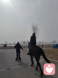 小时候，我渴望当一个作家，写写文章，好不自在，自由职业，无拘无束。


长大后成了一个上班族👩‍💼，每天朝九晚五，按部就班。


他觉得我话多，不切实际，不着调。需要清净。


孩子觉得我啰嗦，烦。


渐渐的我不爱对他们说了。


可是我每天需要固定输出的语言需要释放到哪里去啊，于是我开直播，录视频，开会，享受输出的🎊。


在持续的行动中，我找到了适合我的学习方式，成长方式。


以前，我看书基本是看个十几页我就要睡觉的，可是读书，做读书会，我很带劲，不会困。


我发现了，只要有人看，有人关注我就很来劲哈哈。


我会早上带领伙伴做功课，读经典，做读书会，催眠带领，读着读着就发现内心平静了，我自我催眠了，喜悦了，通畅了。


读书和唱歌一样都讲究气的流通。


在每一次引导，带领下，我爱上了这个让我内心喜悦的功课。


就像有人爱运动，有人爱跳舞，有人爱爬山，而我发现我爱在有人关注下说话。



我发现一个有意思的点，当我开直播的时候，没有人在线的时候我就平常心，有人在线的时候，特别人多一点的时候，我可带劲了，那眼神语气节奏，恨不得毕生武艺都拿出来秀秀。


多么爱享受聚光灯的人儿啊。


持续的践行，是因为喜欢😘。


坚持会有尽头，但是持续是因为热爱。



再说说完美，以前我认为我没有完美😍，神经大条，直到我发现，我要求挺多的。


他给我端水，我会说给我37度的水，最好弄个柠檬片，哈哈开个玩笑。


曾经，在周围关系中，我会追求所有人的认可，会把别人的评价批在自己身上，否定自己，内耗自己，觉得自己做的不好。


我渴望🤩周围人的点头叫好，我也比较在意别人的眼光，会把对方的愤怒，归因在自己没做好。


能量起来以后，我发现我好像比较不太在意别人的评价了。


以前是假装不在意其实内在很受伤，但是现在是真不太在意。


以前当同事说我业务不专业的时候，我会各种解释，证明不是自己不专业，想证明自己专业。


现在同事说我不专业的时候，我大方的承认，我这个点不太熟悉配图