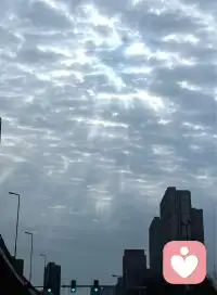 九紫离火运

“九紫离火运”是中国传统玄空风水与三元九运理论中的一个概念，以下是其核心信息：

时间范围
根据三元九运体系，2024年至2043年属于“下元九运”，即“九紫离火运”时期。

名称由来

“九”指三元九运中的第九运；

“紫”对应玄空风水中的九紫右弼星；

“离火”源于《易经》离卦，五行属火，象征光明、能量、文明等。

核心象征与含义

离卦特性：离为火，外实内虚，代表外在繁荣与内在精神需求并存，强调光明、传播、视觉、创新等特质。

时代主题：预示未来20年社会将聚焦科技、文化、精神领域，如人工智能、新能源、内容创作、心理健康、女性力量等。

社会与经济影响

科技与产业：人工智能、虚拟现实、新能源、光电产业等将快速发展，虚拟经济与实体经济的融合成为趋势。

文化与精神：对美、艺术、文化IP、知识付费、心理咨询等需求将大幅增长，情绪经济兴起。

女性地位：离卦“为中女”，象征女性在事业、领导力、审美等领域的影响力提升。

需注意，九紫离火运更多是一种文化哲学和趋势框架，而非严格的科学预测。其价值在于启发人们关注时代变化，调整思维与行动方向，而非决定具体命运。配图