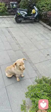 一次拥抱、一顿饭、一次促膝长谈，都不是理所当然的。那些愿意花时间陪你的人、愿意在你低谷时伸出手的人、愿意对你真诚以待的人，都是生命里的光。不要等到失去了，才懂得珍惜。配图