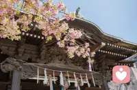 一次拥抱、一顿饭、一次促膝长谈，都不是理所当然的。那些愿意花时间陪你的人、愿意在你低谷时伸出手的人、愿意对你真诚以待的人，都是生命里的光。不要等到失去了，才懂得珍惜。配图