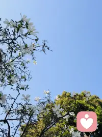 一次拥抱、一顿饭、一次促膝长谈，都不是理所当然的。那些愿意花时间陪你的人、愿意在你低谷时伸出手的人、愿意对你真诚以待的人，都是生命里的光。不要等到失去了，才懂得珍惜。配图