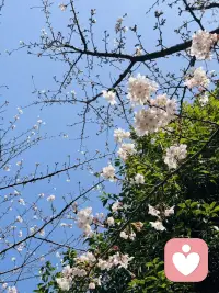 一次拥抱、一顿饭、一次促膝长谈，都不是理所当然的。那些愿意花时间陪你的人、愿意在你低谷时伸出手的人、愿意对你真诚以待的人，都是生命里的光。不要等到失去了，才懂得珍惜。配图