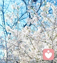 《爱的流动》这本书里，写了三点：

一、不是伴侣给我们带来恐惧和不安，而是伴侣唤醒了我们的恐惧和不安。
二、爱的流动不是要赶走内心的恐惧，而是要看见内心的恐惧，并允许它存在于内心。
三、流动的亲密关系，是敢于做真实的自己，并且被对方喜欢。

我们不是要伪装成其他人，才能够维持这段关系，而是可以展现自己的脆弱性，但是对方依然喜欢我们，这才是亲密关系的核心。内心空虚和孤独，我们要改变这种状态来疗愈自己。内心的空虚和孤独感的状态是由被离弃造成的。它与早期被忽视，关系不和谐，父母缺席，缺少温暖、鼓励，以及没有被看到等经历相关。
当这个伤口影响我们的生活时，我们就会倾向于相信我们的幸福取决于外部环境。相信自己的幸福取决于他人如何对待我们，而且认为生活会以我们想要的和期望的方式对待我们。大多数情况下，一旦我们允许自己靠近某人，我们就会直面这个伤口。怎么解释呢？渴望被拯救的人，大部分是因为内心空虚和孤独，就是觉得自己一定要遇到一个真命天子，一定要遇到一个好人。包括很多人在网上说，职场当中最重要的是遇到一个好老板，这种话背后的心理其实就是渴望被拯救。
独立的成年人才能够拥有真正的亲密关系，否则它就是一种控制、权力的游戏和依附与背叛的故事。作者提示我们说：你无法相信有人会爱你。当你无法爱自己，当你没有好好看过自己，没有看到自己的美丽、优雅和伟大时，即使别人对你说“你好美，我看到你深邃的眼神，无比优雅，我看到你的内心节奏与宇宙相融合”，你怎么会相信？
所以你必须毫不愧疚地接纳自己。活出完整的、独立的自己，我们才配得上跟其他的人在一起生活，否则我们都成了控制与被控制的对象。

《甄嬛传》有一句台词：至于缘分，我总觉得事在人为。聚散离合，不必拿缘分二字作托词。人们常常以缘分深厚作为亲近的借口，而以无缘作为了却情意的假词而已。每次看到这句话，都感慨究竟是命运无常，还是彼此之间抓得还不够紧？有缘无分，或许只是一个伪命题。我很喜欢一个典故，白发如新，倾盖如故。经常会有剧情是：天降打败了竹马。人生出场顺序很重要，但有更重要的因素，恒久的感动或许不及刹那间火树银花的心动。
《摆渡人》中有一句台词：缘如冰，把冰抱在怀里，冰化了，缘分也就没有了。缘如冰，抓着会痛，不放手最后也会消失 。真正属于你的爱情，不应该是伤人的冰块，而是一杯温暖的热茶。判断正缘，我个人认为，或许以此为准：这段关系是否让自己更幸福？配图