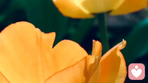 遇到的人是来升级我的防火墙