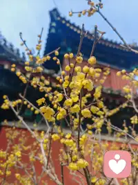 与他人建立真诚的关系：只有与自己的内在生命和谐相处，才能以真实、不依赖、不控制的方式与他人相遇。 


      内在生命，就是你自己这个“宇宙”的内部世界。它由你的真实感受、深层思想、私人意义、未竟梦想乃至心灵创伤共同构成。它是一个需要被倾听、被探索、被接纳、被滋养的鲜活实体。 


      意识成长的本质，在很大程度上就是将注意力从外在的喧嚣中收回来，勇敢而温柔地踏入这片内在疆域，去认识它、整合它、并最终让内在生命的成熟智慧，引领外在生活的表达。


      这是一个持续一生的旅程，没有终点，只有不断的深入和拓宽。配图