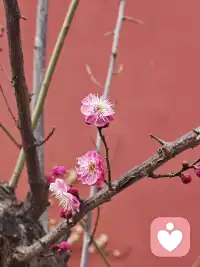 与他人建立真诚的关系：只有与自己的内在生命和谐相处，才能以真实、不依赖、不控制的方式与他人相遇。 


      内在生命，就是你自己这个“宇宙”的内部世界。它由你的真实感受、深层思想、私人意义、未竟梦想乃至心灵创伤共同构成。它是一个需要被倾听、被探索、被接纳、被滋养的鲜活实体。 


      意识成长的本质，在很大程度上就是将注意力从外在的喧嚣中收回来，勇敢而温柔地踏入这片内在疆域，去认识它、整合它、并最终让内在生命的成熟智慧，引领外在生活的表达。


      这是一个持续一生的旅程，没有终点，只有不断的深入和拓宽。配图