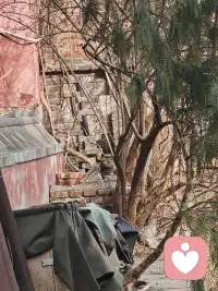 与他人建立真诚的关系：只有与自己的内在生命和谐相处，才能以真实、不依赖、不控制的方式与他人相遇。 


      内在生命，就是你自己这个“宇宙”的内部世界。它由你的真实感受、深层思想、私人意义、未竟梦想乃至心灵创伤共同构成。它是一个需要被倾听、被探索、被接纳、被滋养的鲜活实体。 


      意识成长的本质，在很大程度上就是将注意力从外在的喧嚣中收回来，勇敢而温柔地踏入这片内在疆域，去认识它、整合它、并最终让内在生命的成熟智慧，引领外在生活的表达。


      这是一个持续一生的旅程，没有终点，只有不断的深入和拓宽。配图