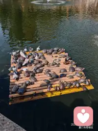 与他人建立真诚的关系：只有与自己的内在生命和谐相处，才能以真实、不依赖、不控制的方式与他人相遇。 


      内在生命，就是你自己这个“宇宙”的内部世界。它由你的真实感受、深层思想、私人意义、未竟梦想乃至心灵创伤共同构成。它是一个需要被倾听、被探索、被接纳、被滋养的鲜活实体。 


      意识成长的本质，在很大程度上就是将注意力从外在的喧嚣中收回来，勇敢而温柔地踏入这片内在疆域，去认识它、整合它、并最终让内在生命的成熟智慧，引领外在生活的表达。


      这是一个持续一生的旅程，没有终点，只有不断的深入和拓宽。配图