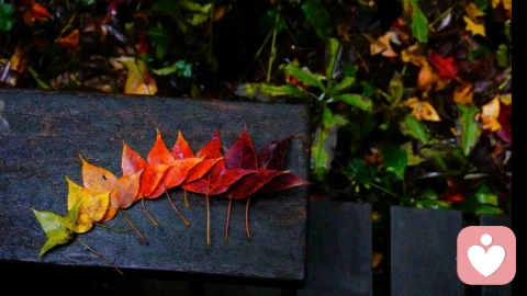 停不下来的心理阴影