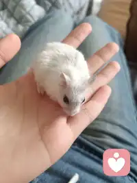 不是追求无菌的心理状态，而是培养容纳生命全貌的内在容量与智慧。配图