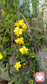 不是追求无菌的心理状态，而是培养容纳生命全貌的内在容量与智慧。配图