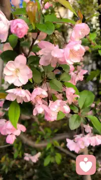 不是追求无菌的心理状态，而是培养容纳生命全貌的内在容量与智慧。配图