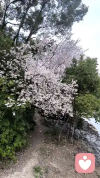 不是追求无菌的心理状态，而是培养容纳生命全貌的内在容量与智慧。配图