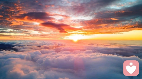 身体的疼痛，都是情绪在说话