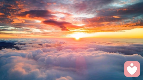 久堵必淤，久淤必癌：藏在身体里的生命真相