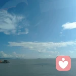 齊齊哈爾的頭像