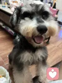 願每一個醒來的日子，都有陽光相伴，或許在晴空，或許在心裡配圖