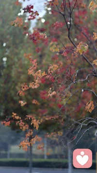 陰沉天空中有一小束照著你的陽光配圖