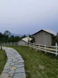 抑郁是個(gè)體在過往成長過程中受到了傷害，這種傷害更多的原因是成長過程受到阻礙，未被滿足和肯定，恰如一棵小樹被石頭壓彎或者留下傷疤！