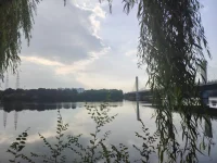 真正的吸引力，從來不是你有多愛對方，而是你有多愛自己配圖
