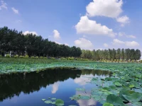 愛情里可以有遺憾，婚姻里不能有隱患配圖