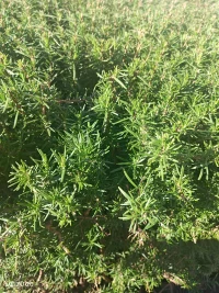 在任何的关系当中，
都需要相互尊重，
相互信任，
相互理解，
相互接纳，
相互鼓励，
相互欣赏。配图